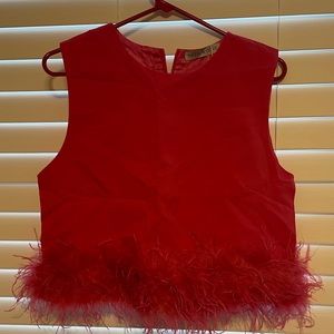 Feather Trim Pink Top